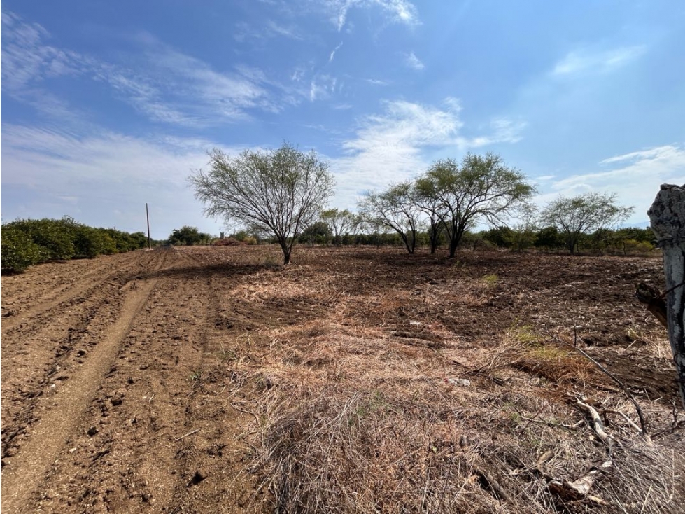 Terreno en Venta Camino al Chapotal, Atongo de Abajo, Cadereyta, N.L. — foto 6