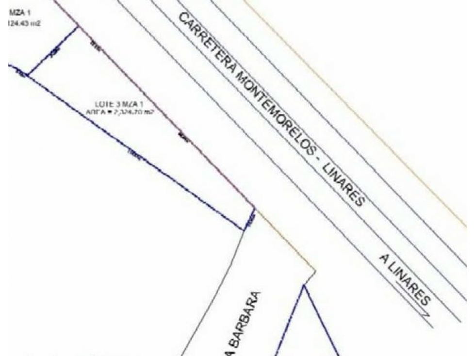 Terreno en venta Carretera Nacional Montemorelos Nuevo Leon - 3