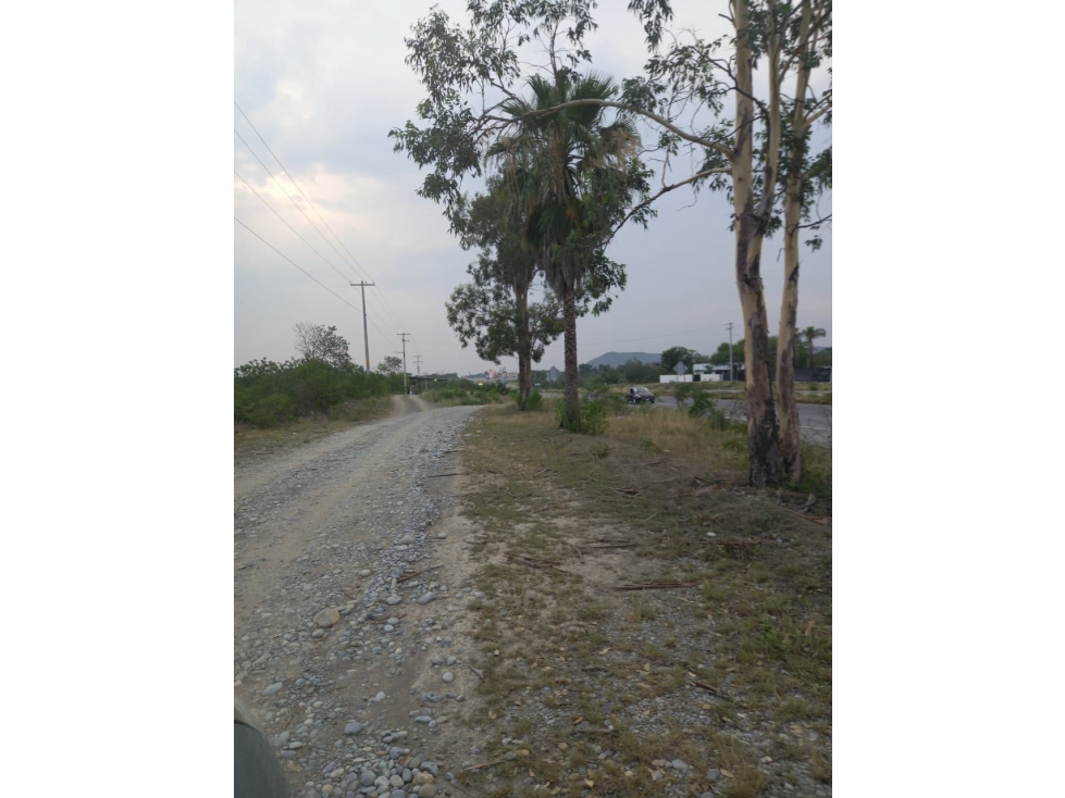 Terreno en venta Carretera Nacional Montemorelos Nuevo Leon - 2