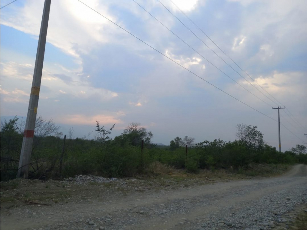 Terreno en venta Carretera Nacional Montemorelos Nuevo Leon - 5