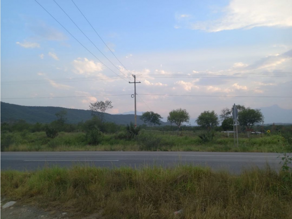 Terreno en venta Carretera Nacional Montemorelos Nuevo Leon - 1