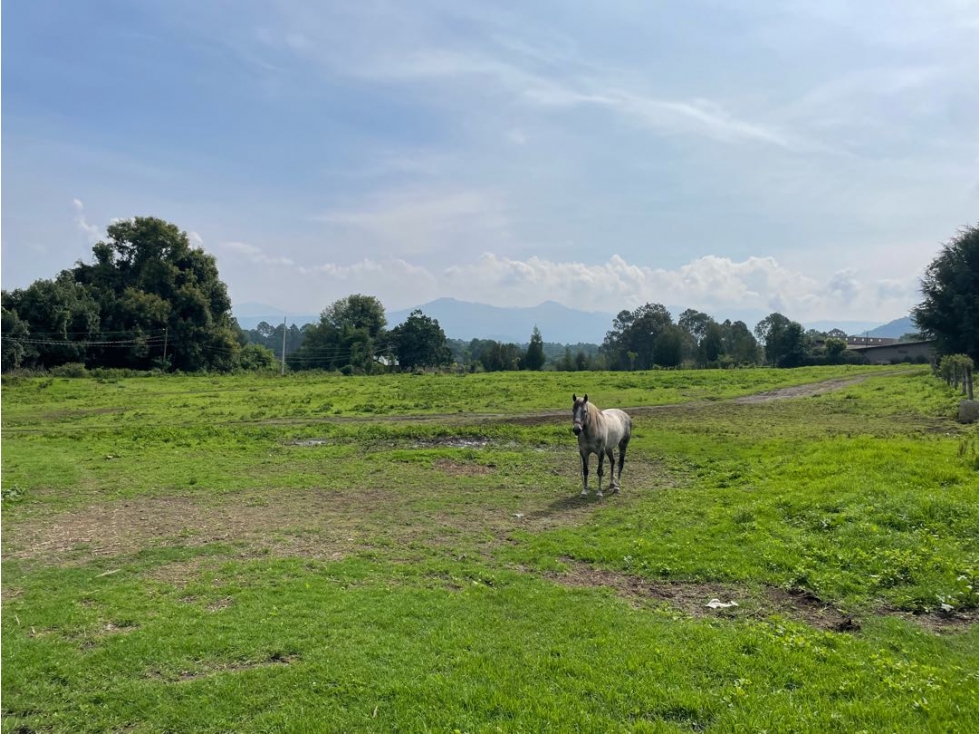TERRENO EN VENTA | CERRO GORDO | VALLE DE BRAVO