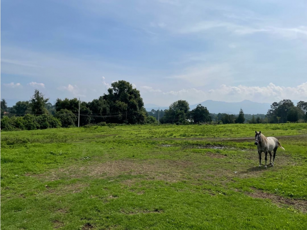 TERRENO EN VENTA | CERRO GORDO | VALLE DE BRAVO — foto 3