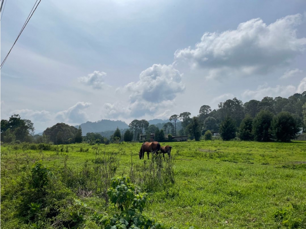 TERRENO EN VENTA | CERRO GORDO | VALLE DE BRAVO — foto 6