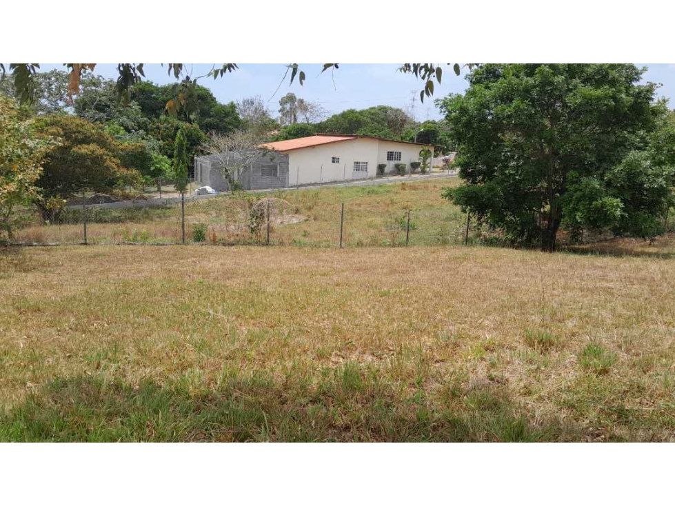 TERRENO EN VENTA CHAME LAS LAJAS — foto 4