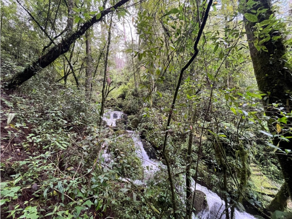 Terreno en venta circuito Avándaro — foto 2