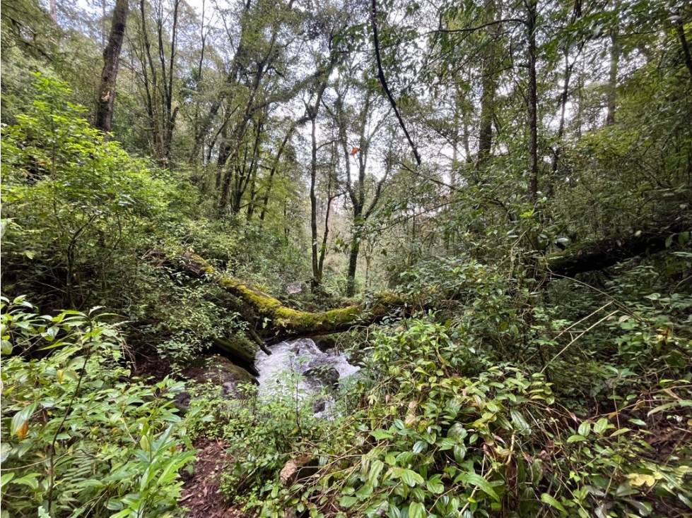 Terreno en venta circuito Avándaro — foto 3