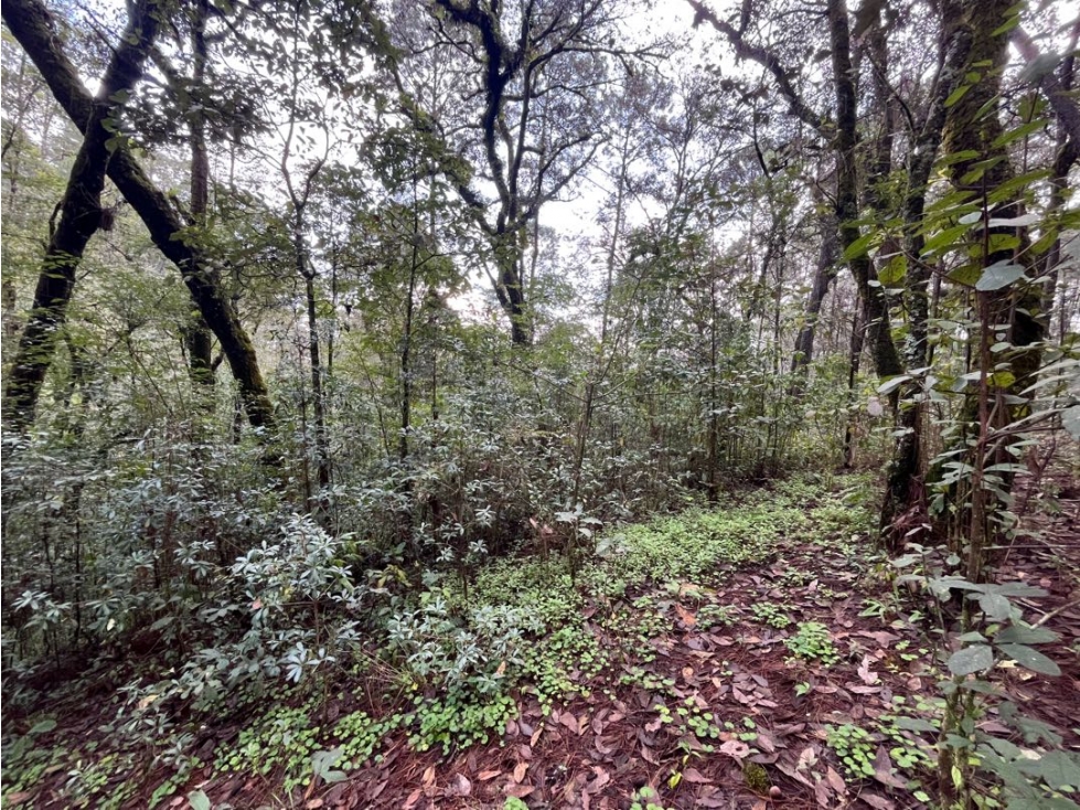 Terreno en venta circuito Avándaro — foto 4