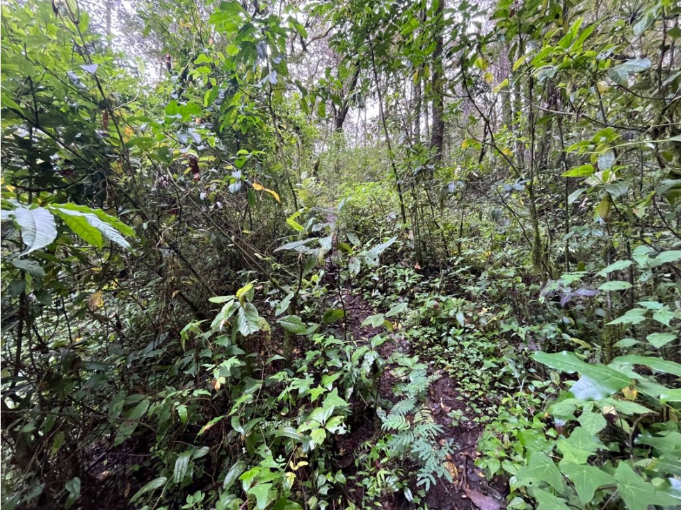 Terreno en venta circuito Avándaro — foto 5