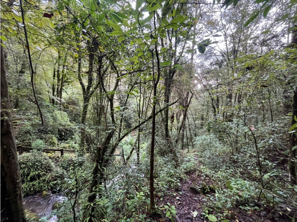 Terreno en venta circuito Avándaro — foto 6