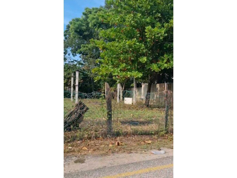 Terreno en Venta, Col. Calzada 1ra Secc. Por la Chocolatera - 4