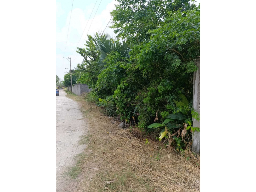 Terreno en Venta, Col. Ocampo Sector San Antonio, atras del reten. - 2