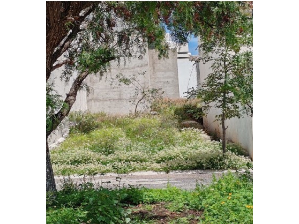 Terreno en Venta - Colinas del Padre, Zacatecas | 200 m² - 3