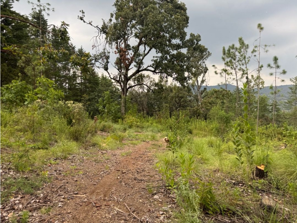 TERRENO EN VENTA COLINDANTE CON RIO || VALLE DE BRAVO - 1