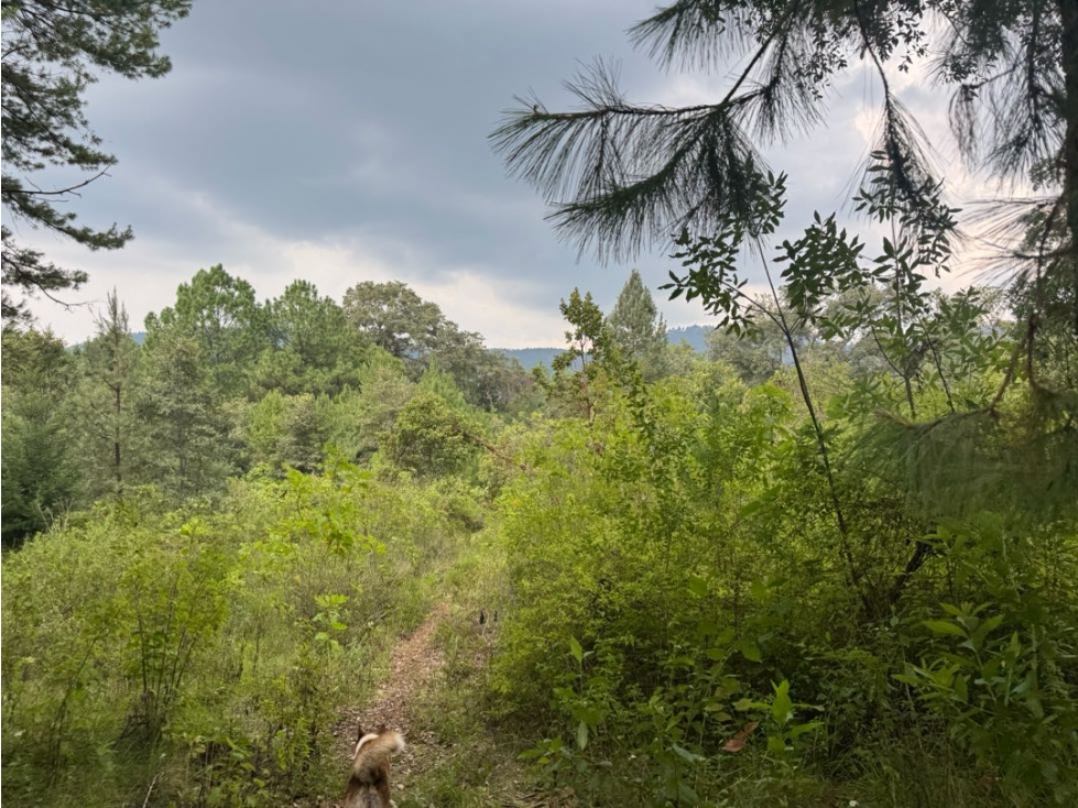 TERRENO EN VENTA COLINDANTE CON RIO || VALLE DE BRAVO - 2