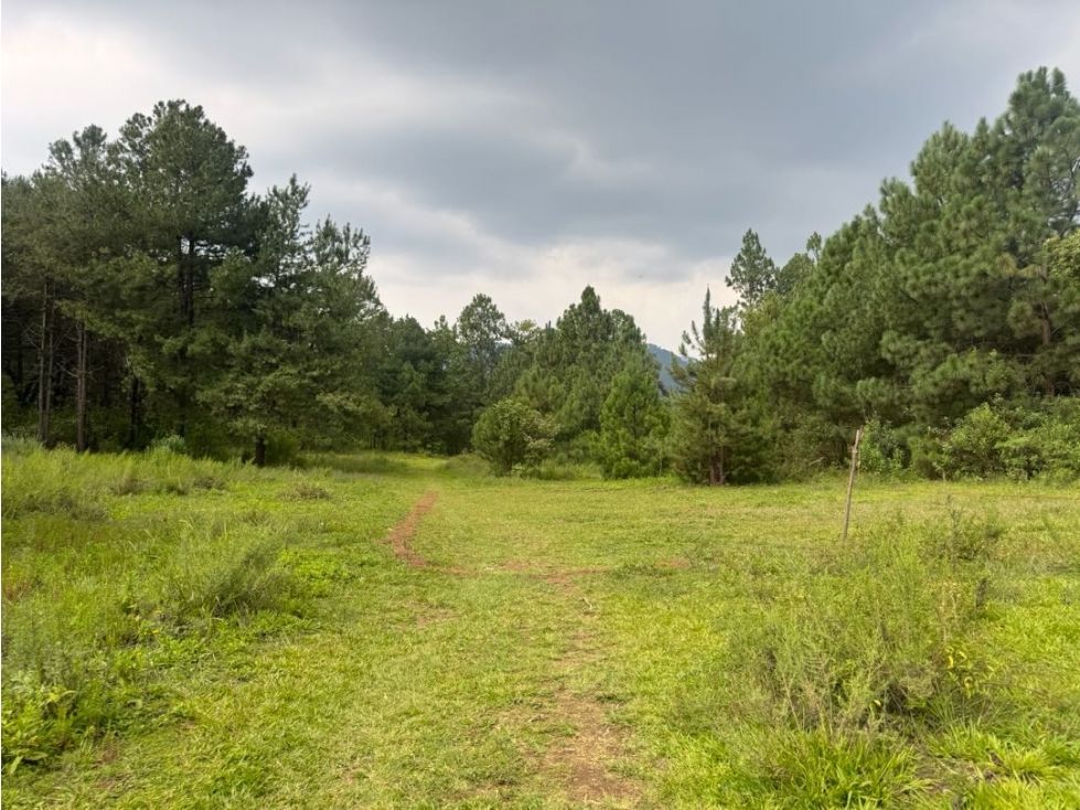 TERRENO EN VENTA COLINDANTE CON RIO || VALLE DE BRAVO - 3