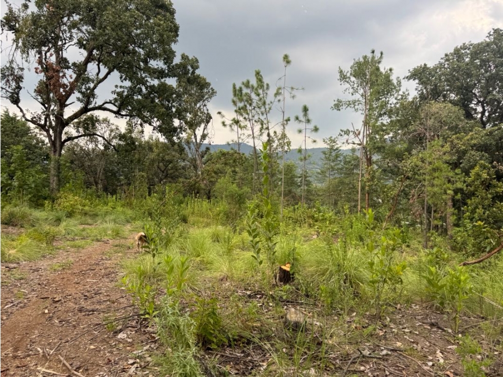 TERRENO EN VENTA COLINDANTE CON RIO || VALLE DE BRAVO - 4