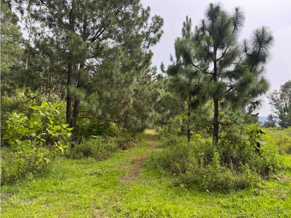 TERRENO EN VENTA COLINDANTE CON RIO || VALLE DE BRAVO - 5
