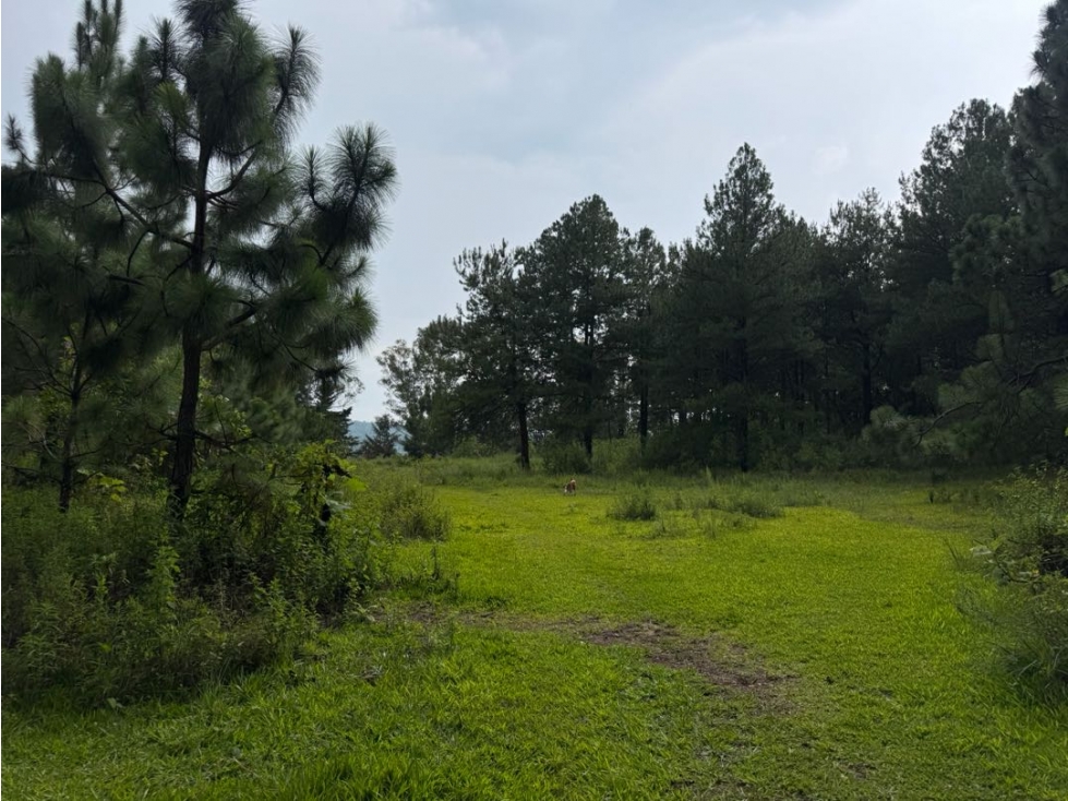 TERRENO EN VENTA COLINDANTE CON RIO || VALLE DE BRAVO - 6