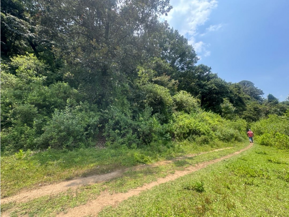 TERRENO EN VENTA CON RIO || VALLE DE BRAVO || SANTA MARÍA PIPIOLTEPEC - 3