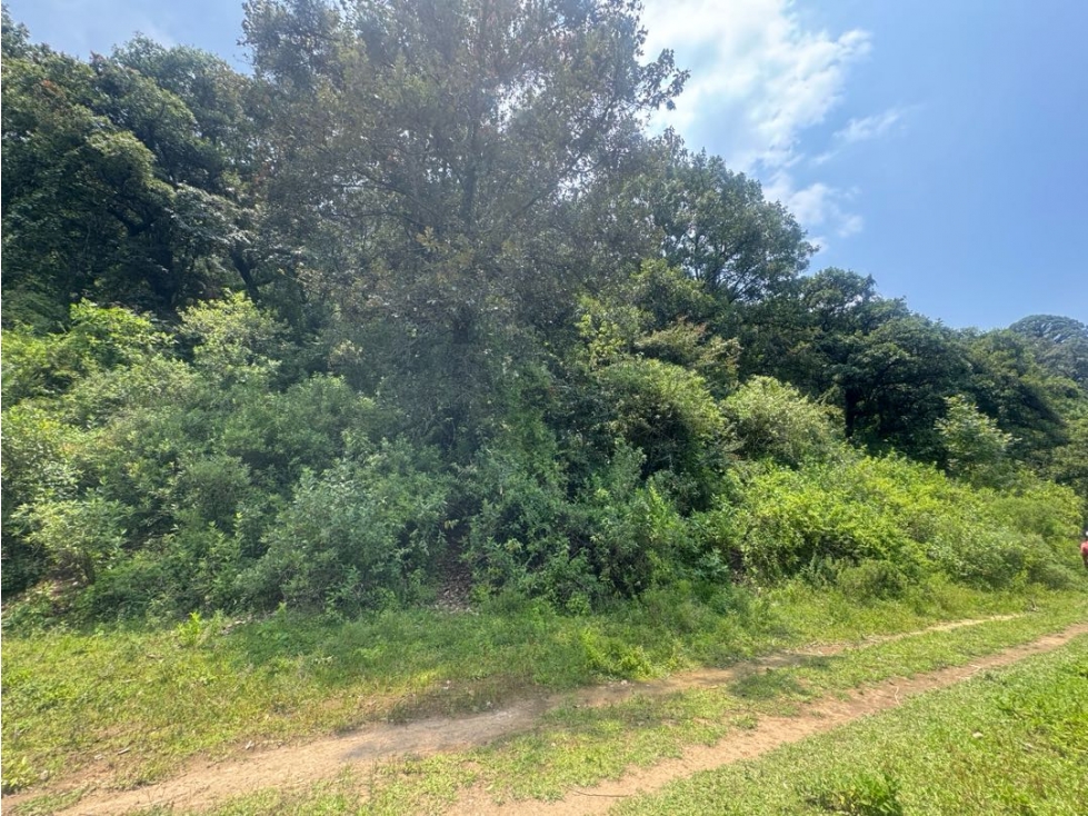 TERRENO EN VENTA CON RIO || VALLE DE BRAVO || SANTA MARÍA PIPIOLTEPEC - 4