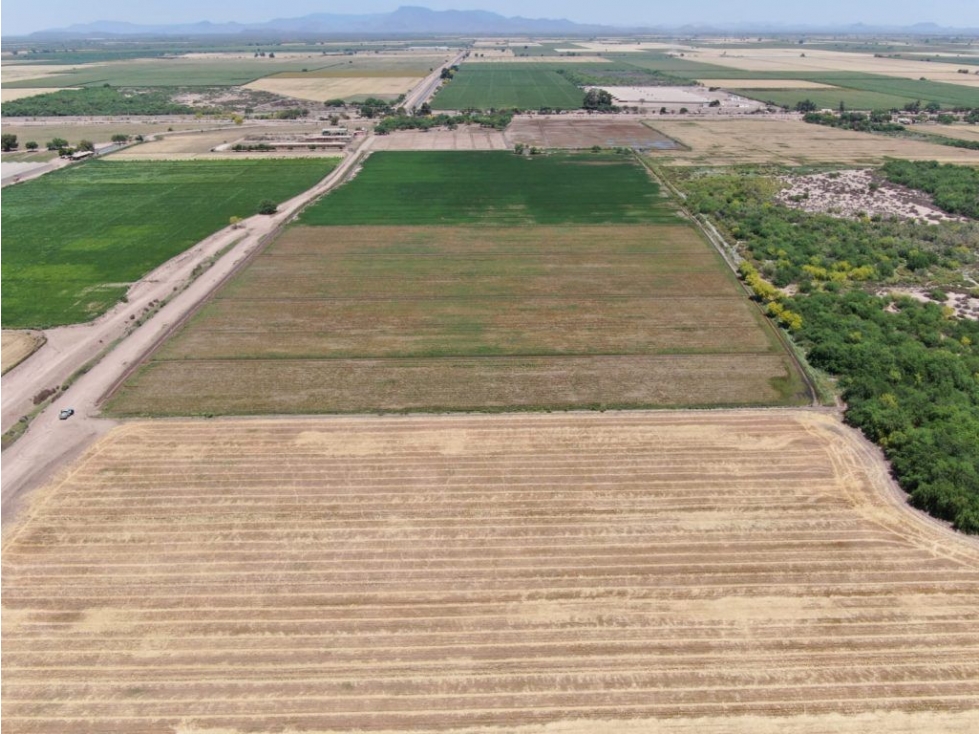 Terreno en Venta - Ejido Campo, Ciudad Obregón | Oportunidad Inversión - 2
