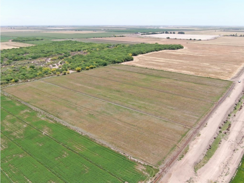 Terreno en Venta - Ejido Campo, Ciudad Obregón | Oportunidad Inversión - 3