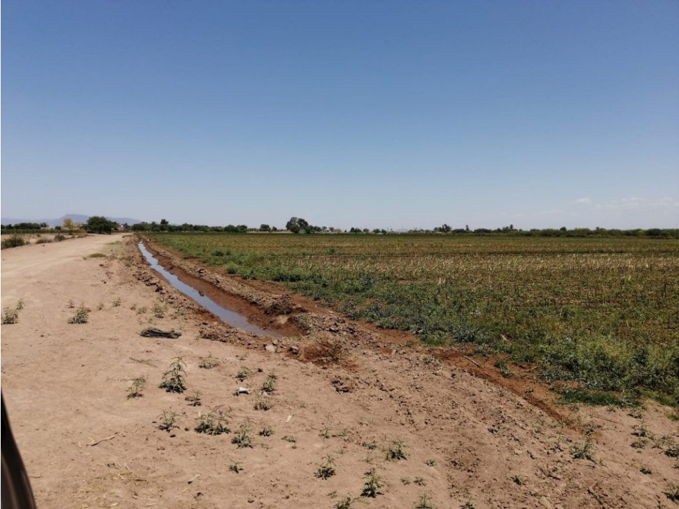 Terreno en Venta - Ejido Campo, Ciudad Obregón | Oportunidad Inversión - 6