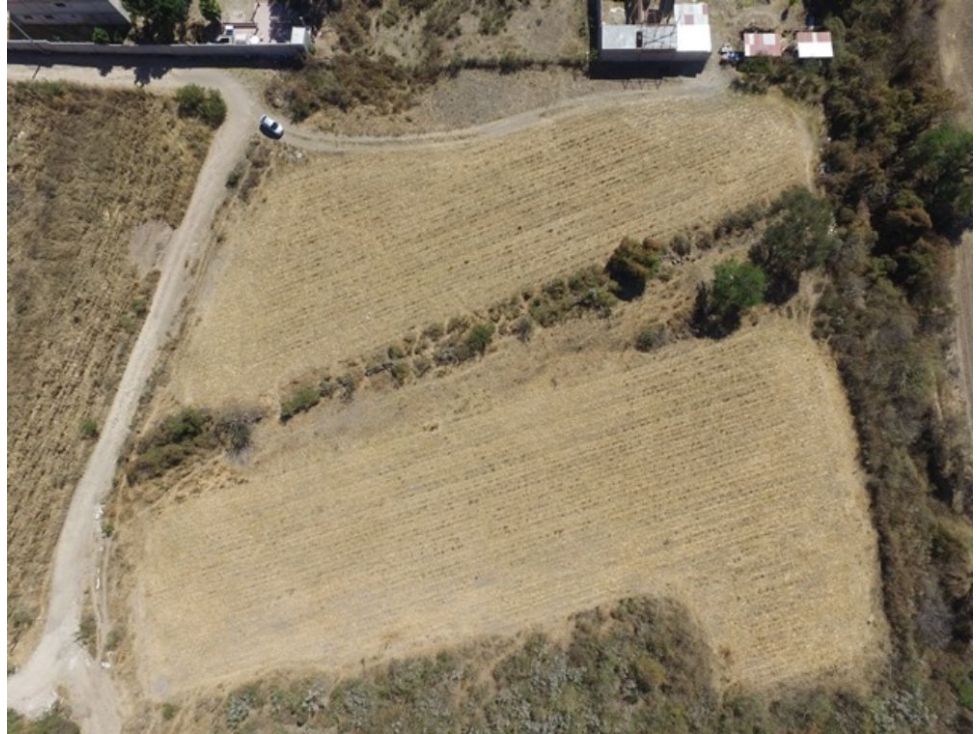 Terreno en Venta Ejido Lomas de Tejeda, Tlajomulco - Oportunidad - 2