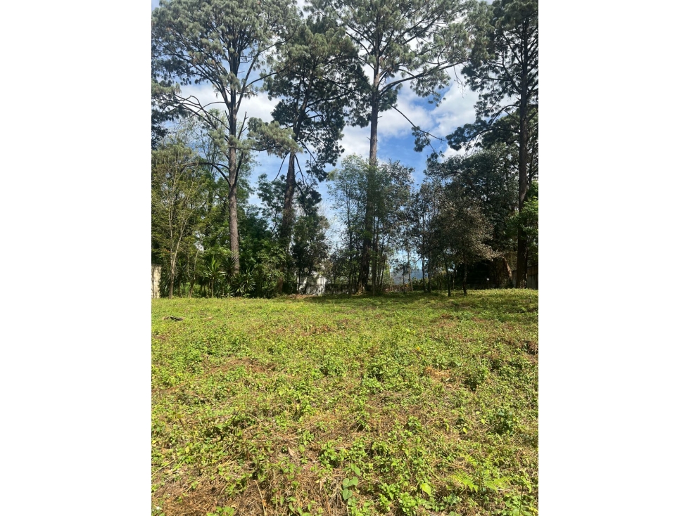 Terreno en Venta en Avandaro Valle de Bravo C — foto 3