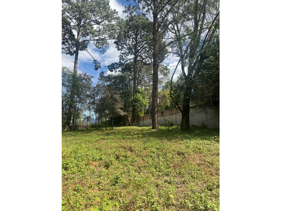 Terreno en Venta en Avandaro Valle de Bravo C — foto 4
