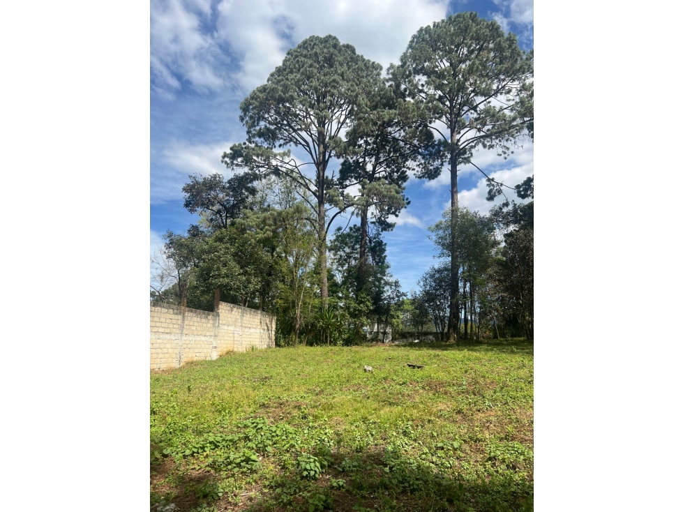 Terreno en Venta en Avandaro Valle de Bravo C — foto 6