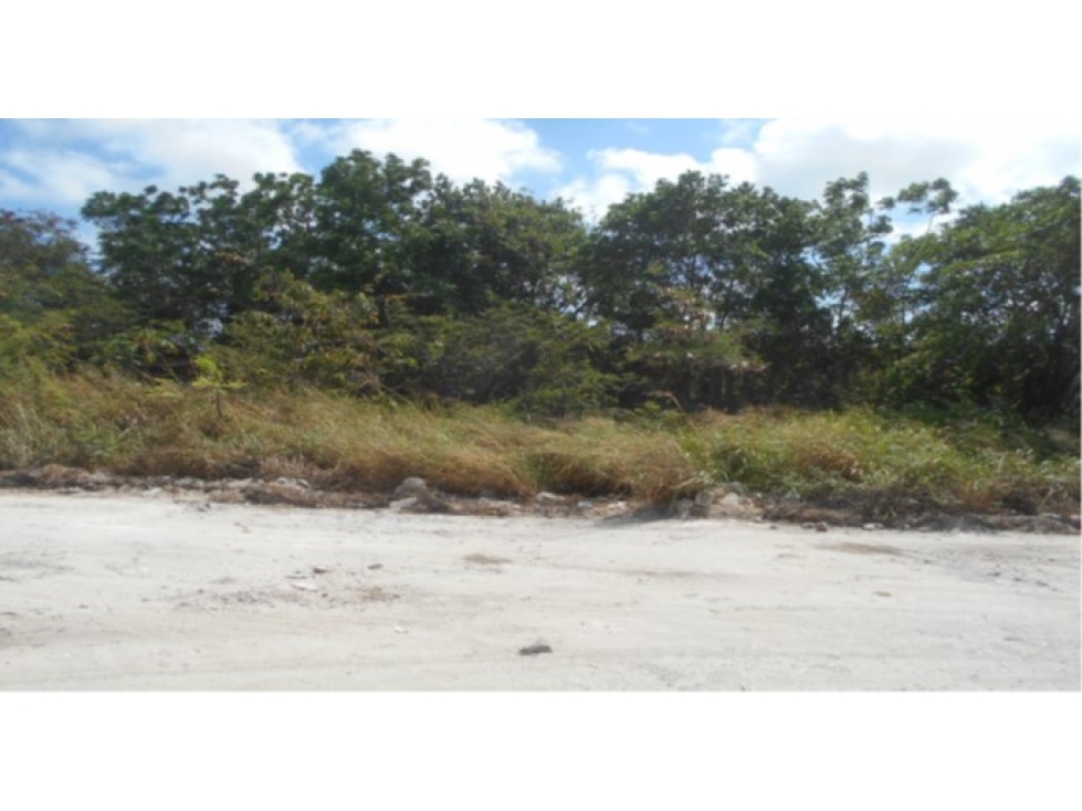 Terreno en Venta en Cancún, Fracc. La Selva - 785 m² de Oportunidad - 1