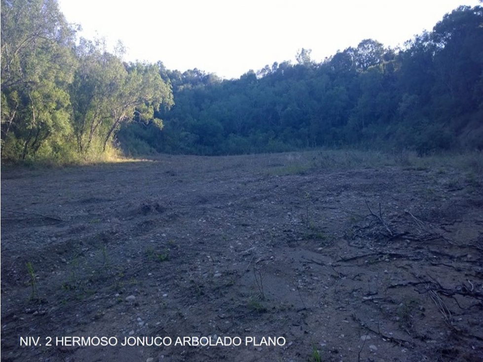 TERRENO EN VENTA EN CARRETERA NACIONAL EN MONTEMORELOS LA MORITA N.L. - 1