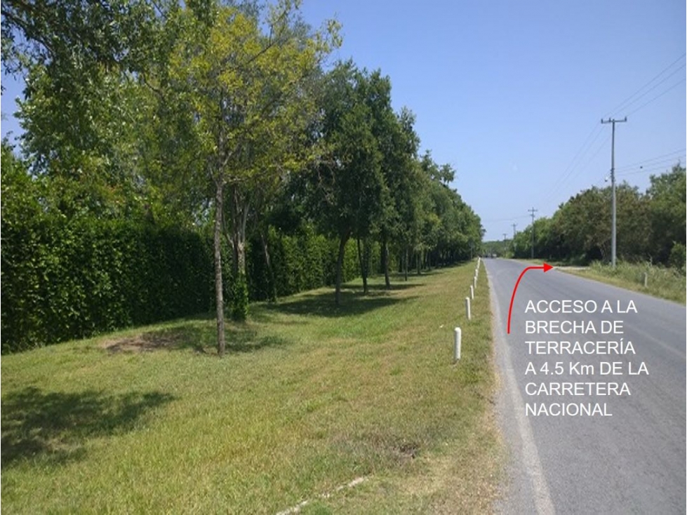 TERRENO EN VENTA EN CARRETERA NACIONAL EN MONTEMORELOS LA MORITA N.L. — foto 2