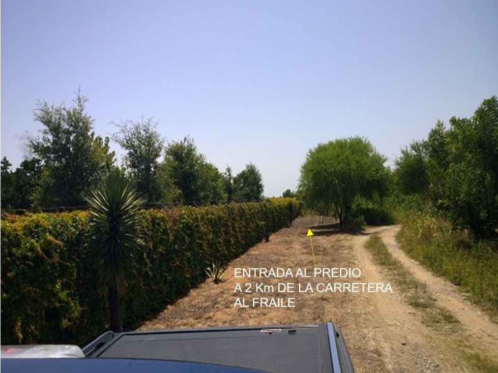 TERRENO EN VENTA EN CARRETERA NACIONAL EN MONTEMORELOS LA MORITA N.L. — foto 4