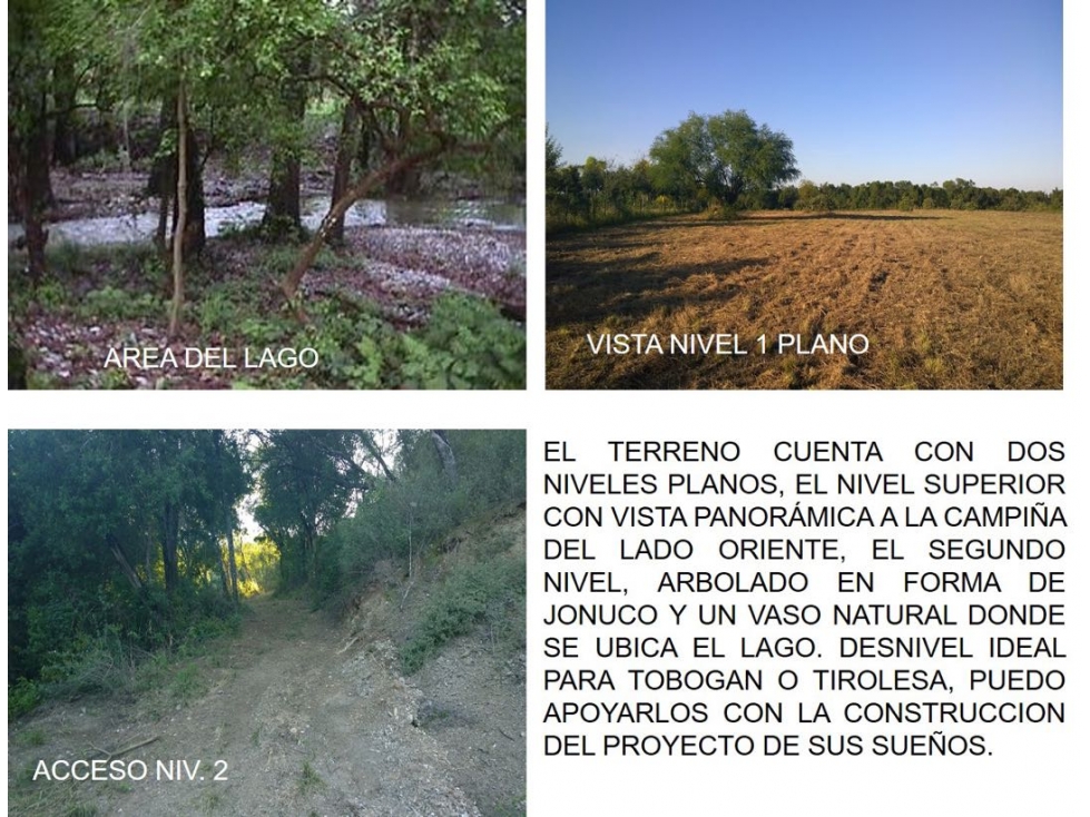 TERRENO EN VENTA EN CARRETERA NACIONAL EN MONTEMORELOS LA MORITA N.L. — foto 5