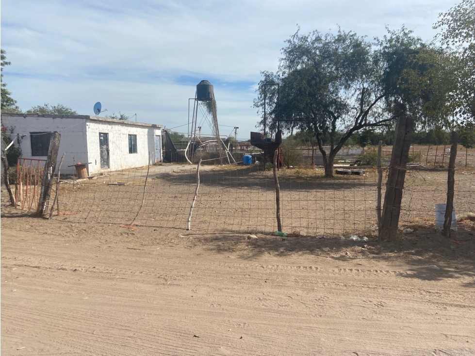 Terreno en Venta en Cócorit, Cajeme Oportunidad de Inversión - 3