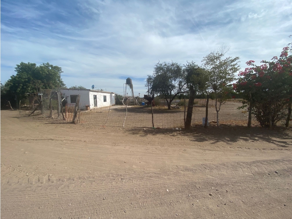 Terreno en Venta en Cócorit, Cajeme Oportunidad de Inversión - 4