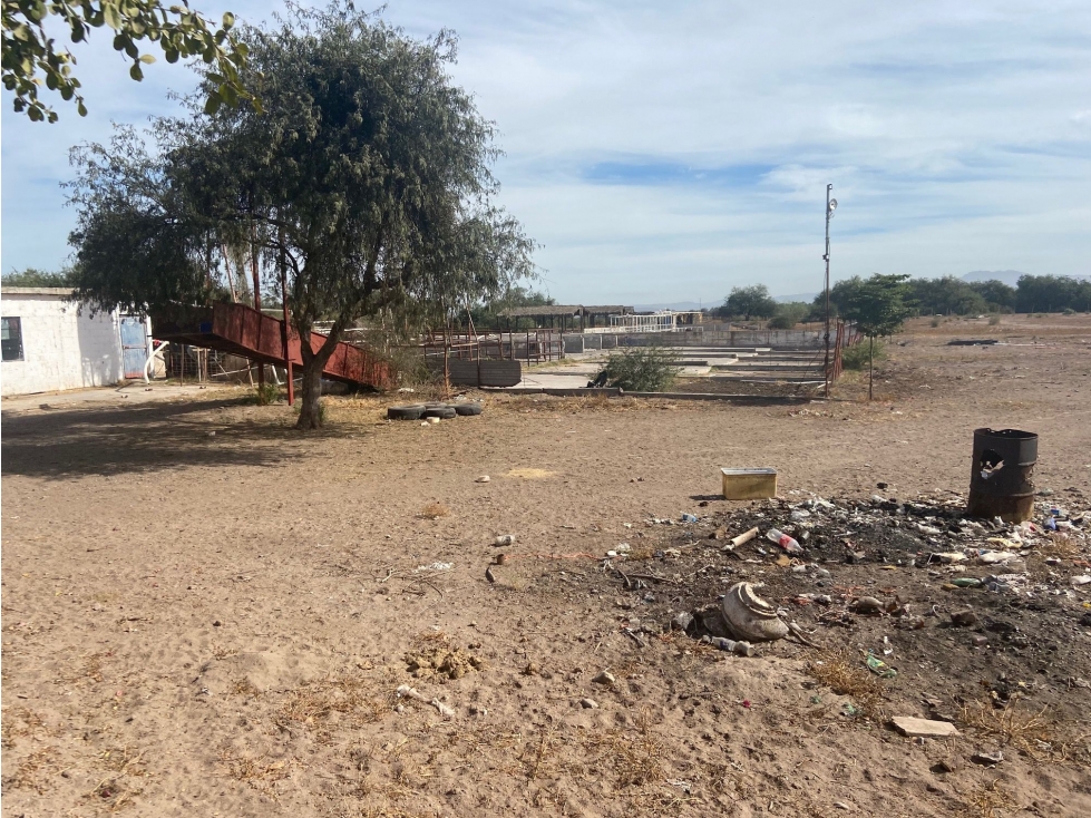 Terreno en Venta en Cócorit, Cajeme Oportunidad de Inversión - 6