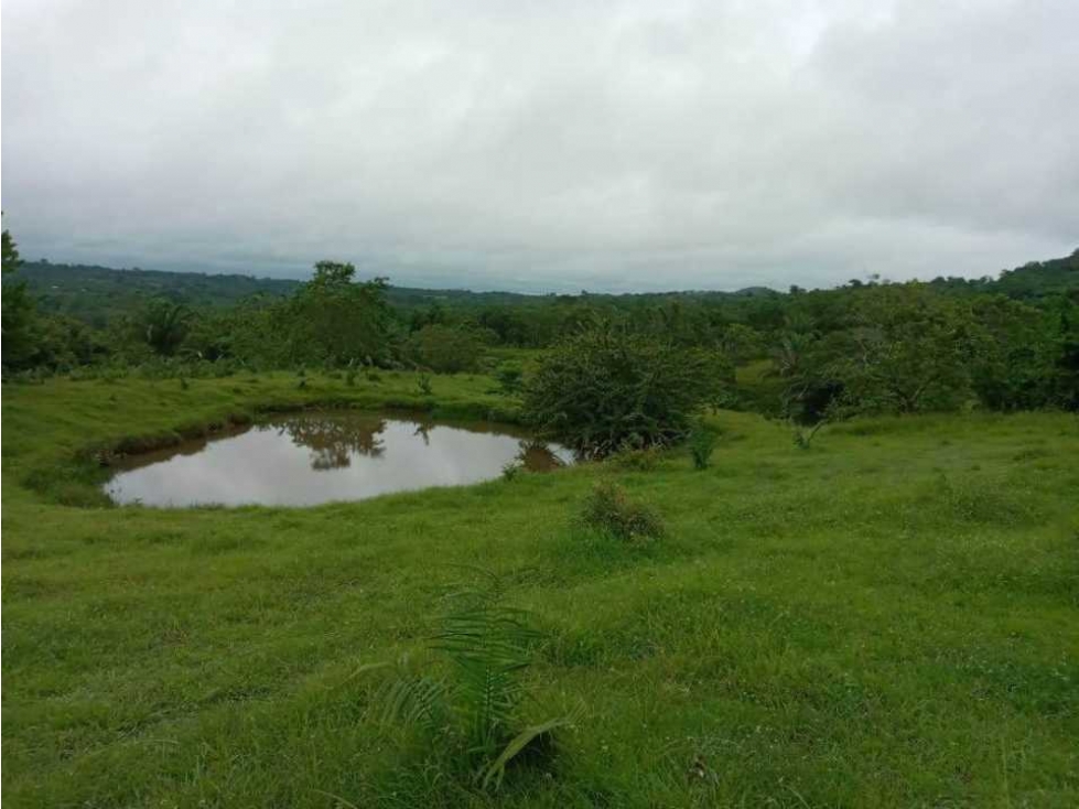 FINCA EN VENTA EN COVEÑAS SUCRE - 1