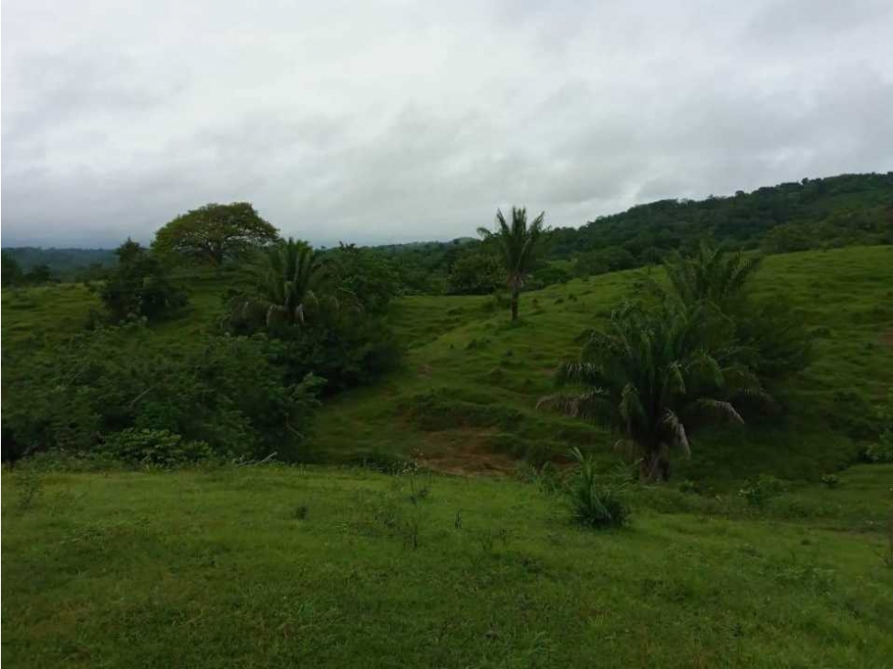 FINCA EN VENTA EN COVEÑAS SUCRE - 2