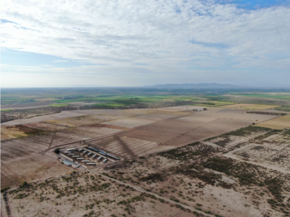 Terreno en Venta en Ejido Covadonga, Francisco I. Madero - 3