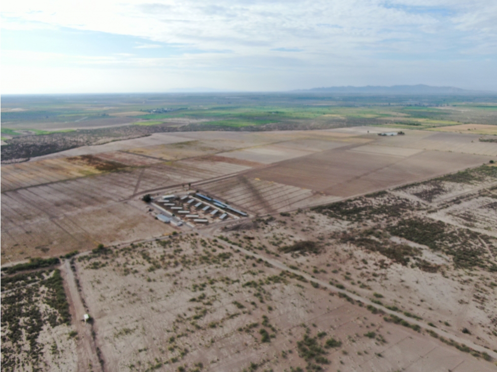 Terreno en Venta en Ejido Covadonga, Francisco I. Madero - 4