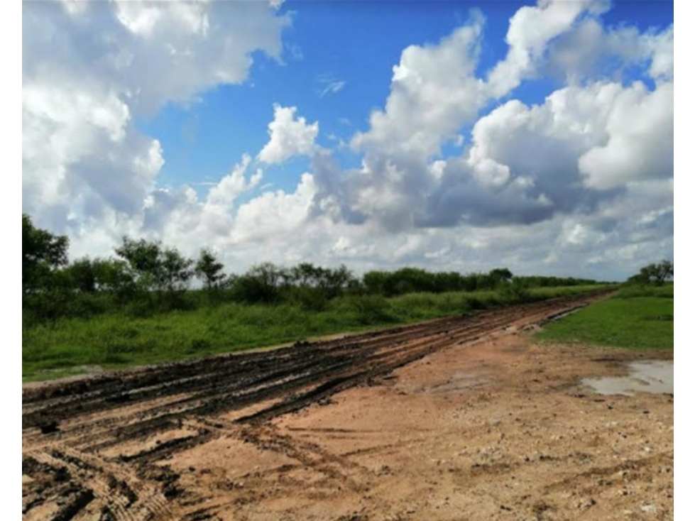 Terreno en Venta en Ejido El Ebanito, Matamoros - Gran Oportunidad - 1