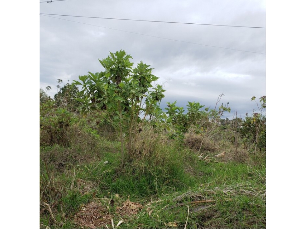 Terreno en Venta en El Arenal, Jalisco | 2,679 m² en Paraíso Tortugas - 4