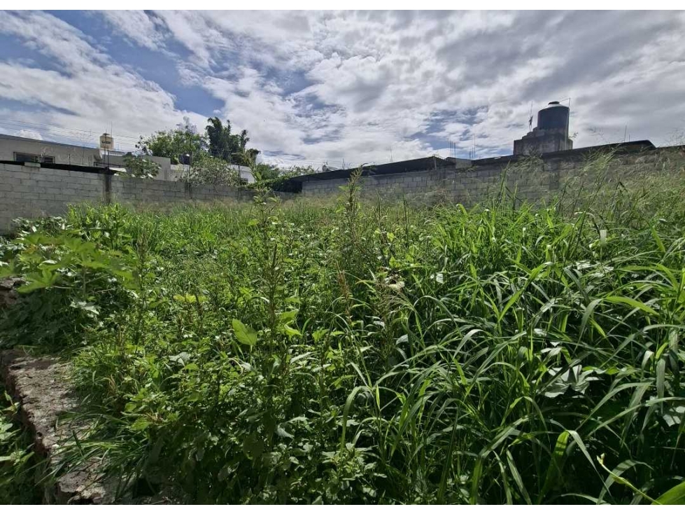 TERRENO EN VENTA EN EL PORVENIR JIUTEPEC CESIÓN DE DERECHOS - 4