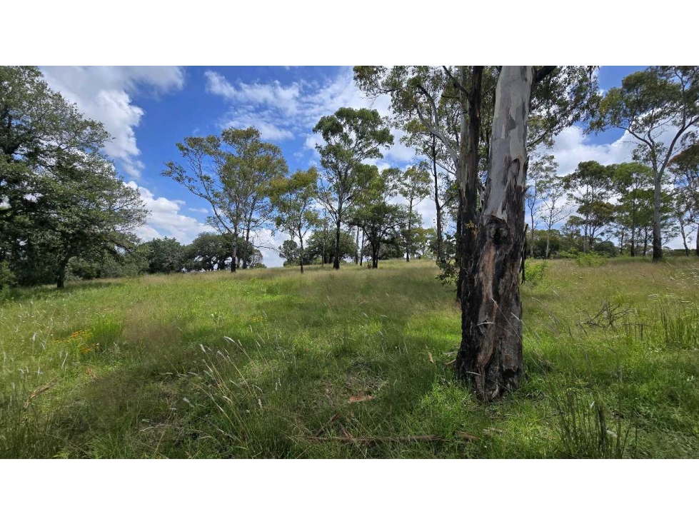 TERRENO EN VENTA EN EL ROBLE, HARAS CAMPESTRE - 1