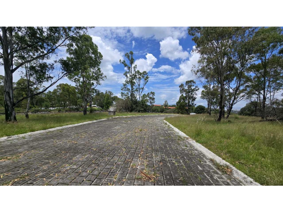 TERRENO EN VENTA EN EL ROBLE, HARAS CAMPESTRE - 2