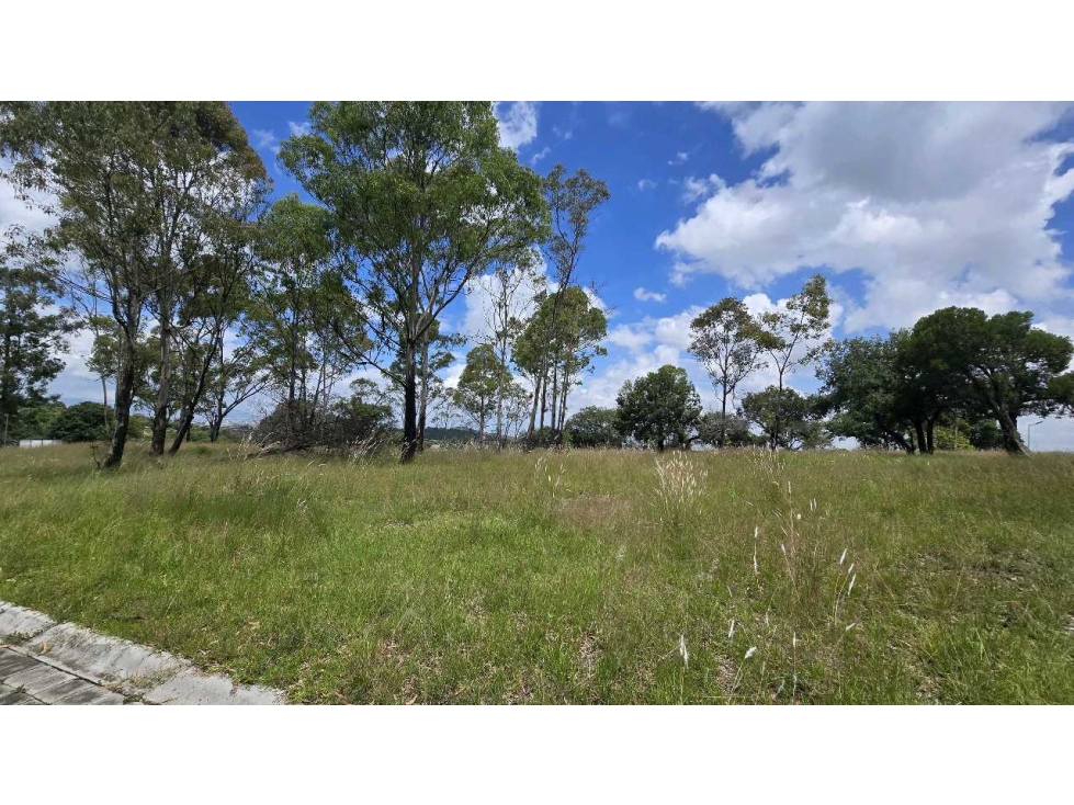 TERRENO EN VENTA EN EL ROBLE, HARAS CAMPESTRE - 3